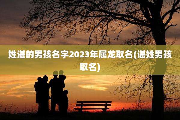 姓谌的男孩名字2023年属龙取名(谌姓男孩取名)