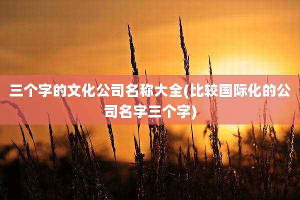三个字的文化公司名称大全(比较国际化的公司名字三个字)
