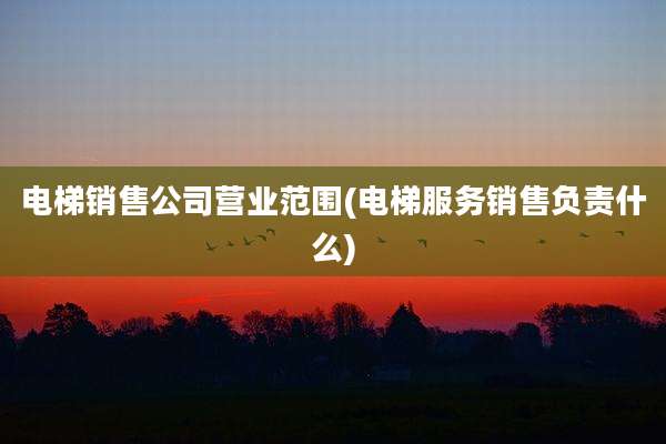 电梯销售公司营业范围(电梯服务销售负责什么)