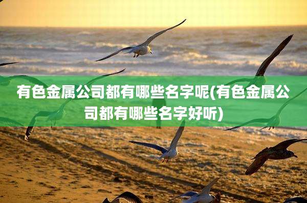 有色金属公司都有哪些名字呢(有色金属公司都有哪些名字好听)