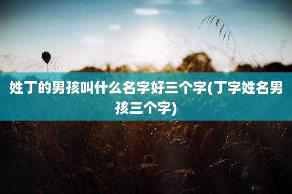 姓丁的男孩叫什么名字好三个字(丁字姓名男孩三个字)