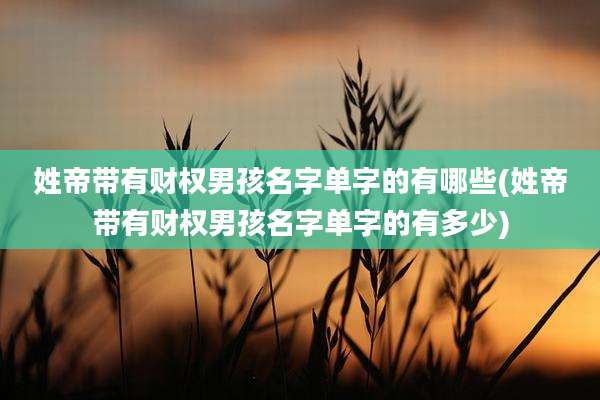 姓帝带有财权男孩名字单字的有哪些(姓帝带有财权男孩名字单字的有多少)