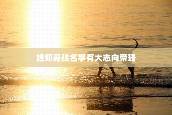 姓郑男孩名字有大志向带珊
