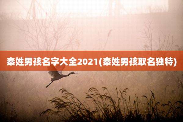 秦姓男孩名字大全2021(秦姓男孩取名独特)