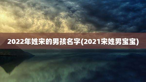 2022年姓宋的男孩名字(2021宋姓男宝宝)