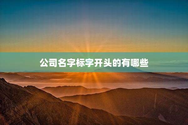 公司名字标字开头的有哪些