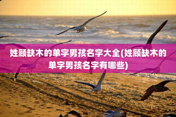 姓顾缺木的单字男孩名字大全(姓顾缺木的单字男孩名字有哪些)