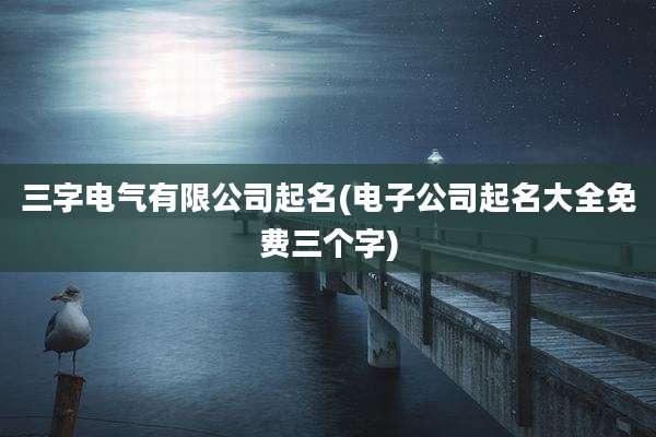 三字电气有限公司起名(电子公司起名大全免费三个字)