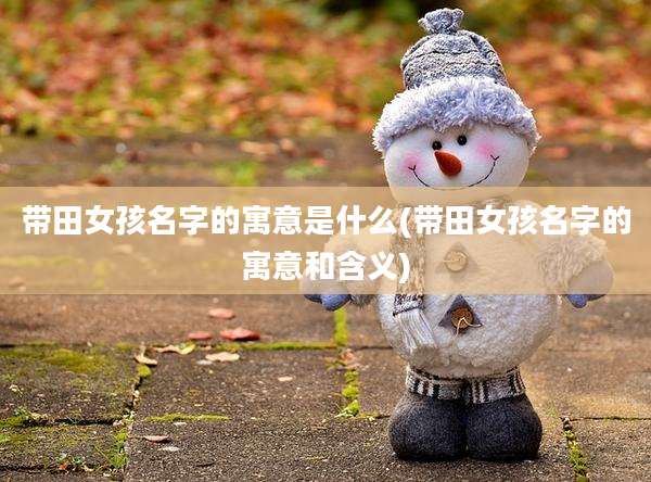 带田女孩名字的寓意是什么(带田女孩名字的寓意和含义)