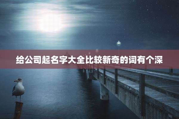 给公司起名字大全比较新奇的词有个深