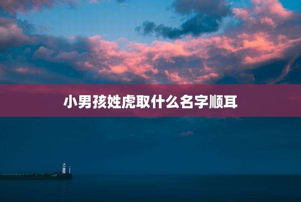 小男孩姓虎取什么名字顺耳