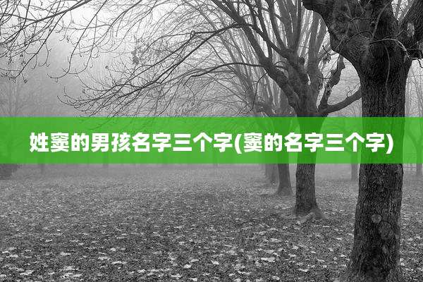 姓窦的男孩名字三个字(窦的名字三个字)