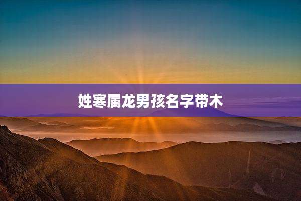姓寒属龙男孩名字带木
