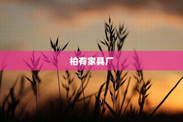 柏有家具厂