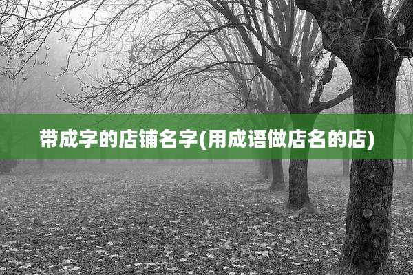 带成字的店铺名字(用成语做店名的店)