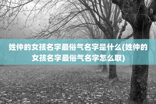 姓仲的女孩名字最俗气名字是什么(姓仲的女孩名字最俗气名字怎么取)