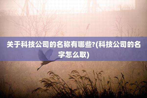关于科技公司的名称有哪些?(科技公司的名字怎么取)