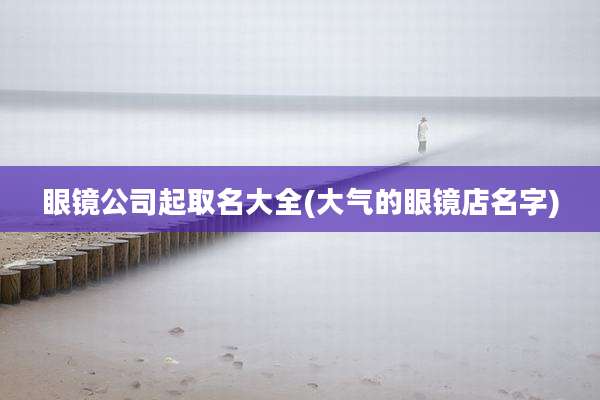 眼镜公司起取名大全(大气的眼镜店名字)