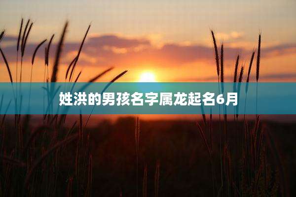 姓洪的男孩名字属龙起名6月