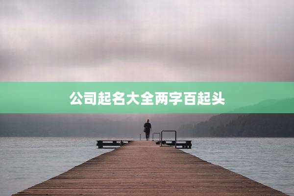 公司起名大全两字百起头
