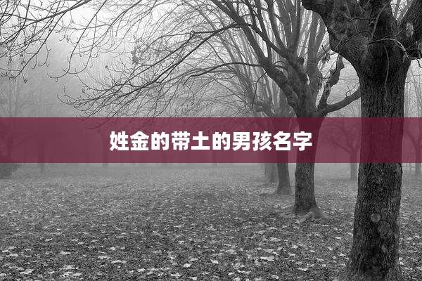 姓金的带土的男孩名字