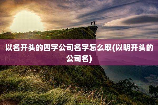 以名开头的四字公司名字怎么取(以明开头的公司名)