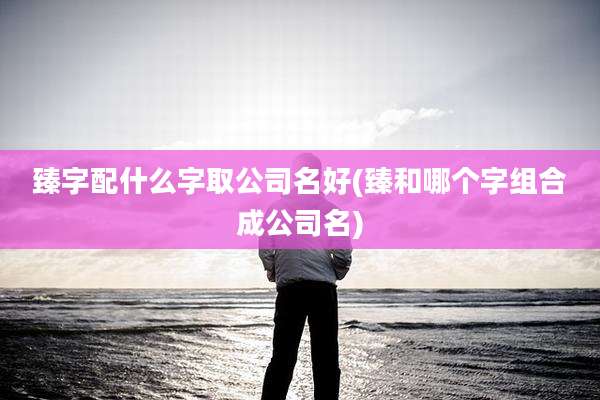 臻字配什么字取公司名好(臻和哪个字组合成公司名)