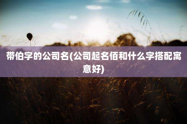 带伯字的公司名(公司起名佰和什么字搭配寓意好)