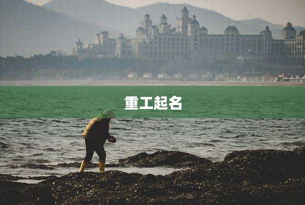 重工起名