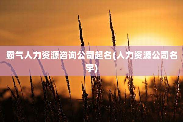 霸气人力资源咨询公司起名(人力资源公司名字)