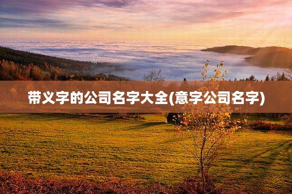 带义字的公司名字大全(意字公司名字)