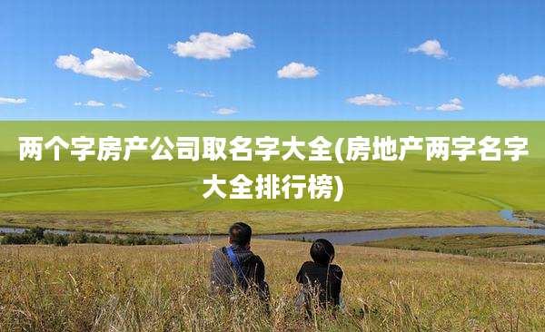 两个字房产公司取名字大全(房地产两字名字大全排行榜)
