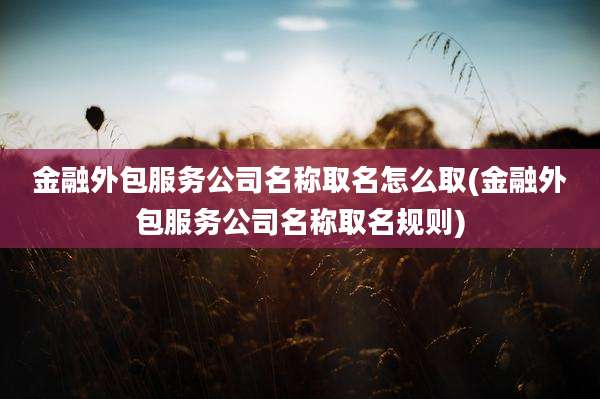 金融外包服务公司名称取名怎么取(金融外包服务公司名称取名规则)