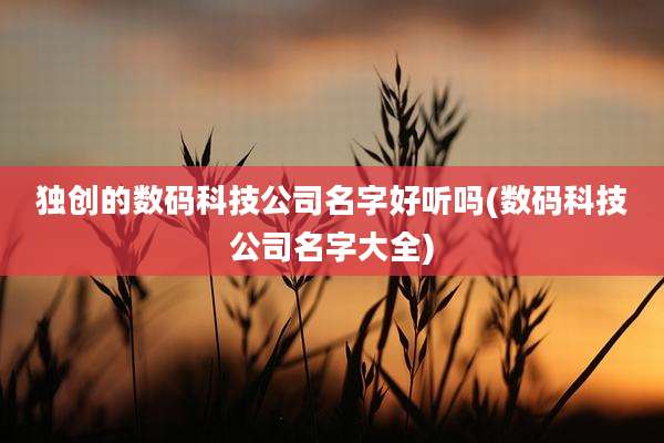 独创的数码科技公司名字好听吗(数码科技公司名字大全)