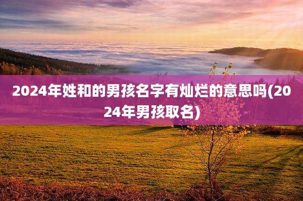 2024年姓和的男孩名字有灿烂的意思吗(2024年男孩取名)