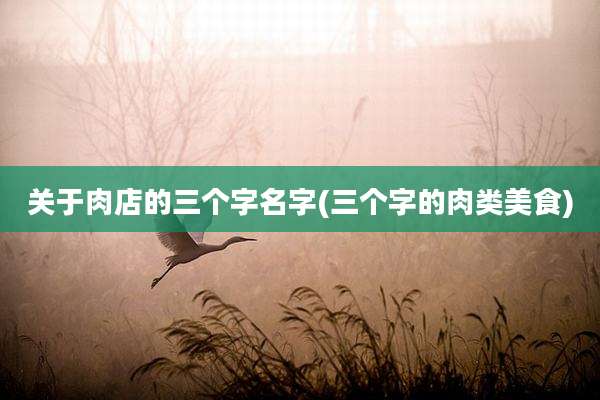 关于肉店的三个字名字(三个字的肉类美食)