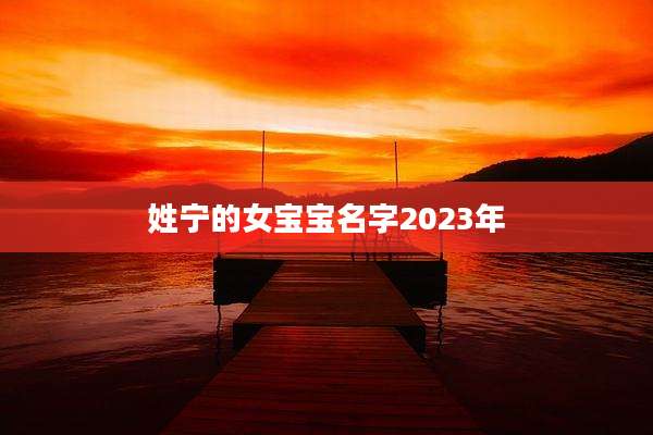 姓宁的女宝宝名字2023年