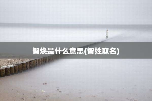 智焕是什么意思(智姓取名)