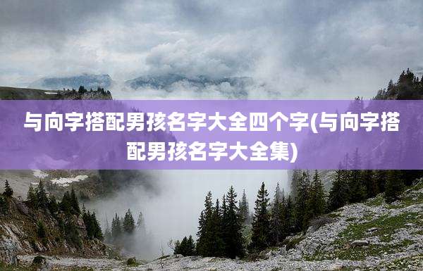 与向字搭配男孩名字大全四个字(与向字搭配男孩名字大全集)
