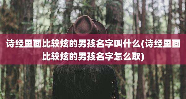 诗经里面比较炫的男孩名字叫什么(诗经里面比较炫的男孩名字怎么取)