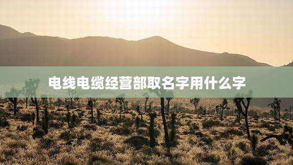 电线电缆经营部取名字用什么字