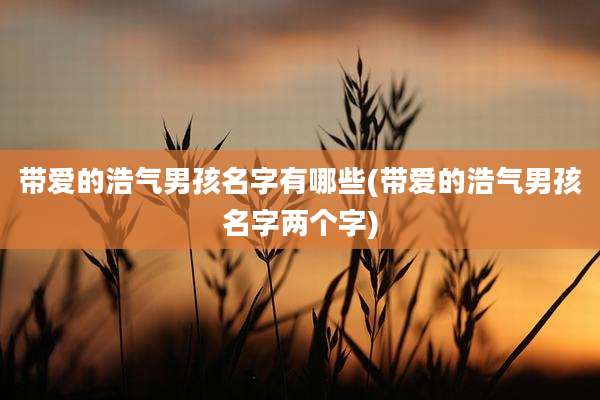 带爱的浩气男孩名字有哪些(带爱的浩气男孩名字两个字)