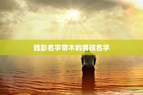 姓彭名字带木的男孩名字