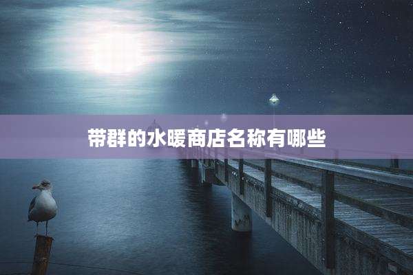 带群的水暖商店名称有哪些