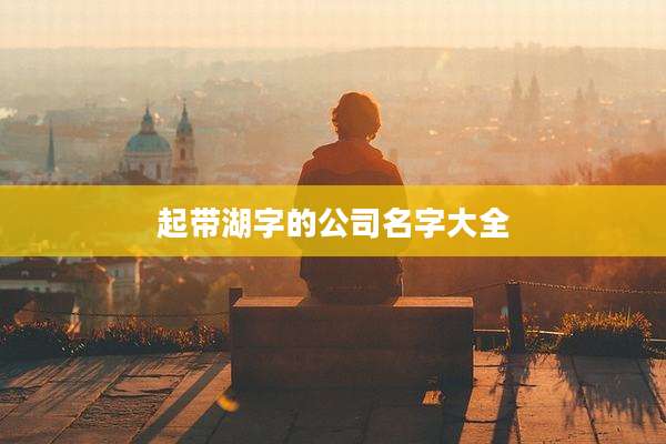 起带湖字的公司名字大全
