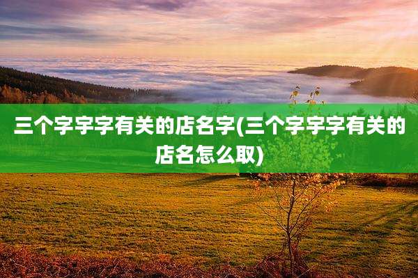 三个字宇字有关的店名字(三个字宇字有关的店名怎么取)
