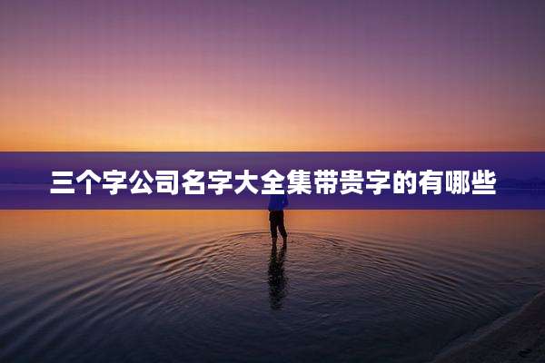 三个字公司名字大全集带贵字的有哪些