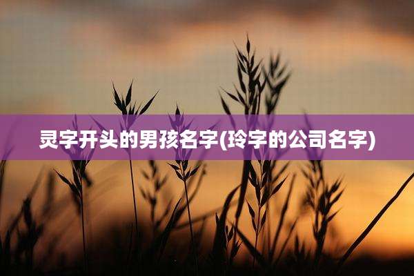 灵字开头的男孩名字(玲字的公司名字)