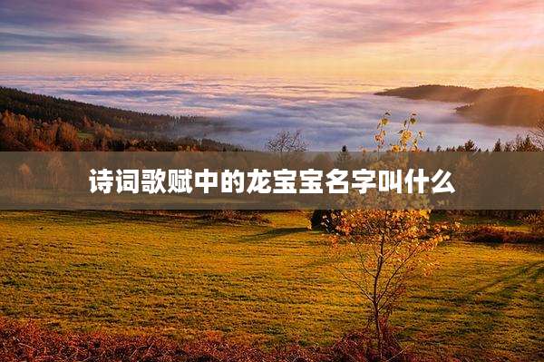 诗词歌赋中的龙宝宝名字叫什么