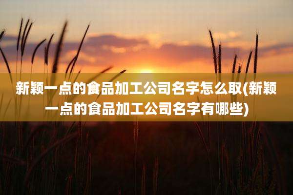 新颖一点的食品加工公司名字怎么取(新颖一点的食品加工公司名字有哪些)
